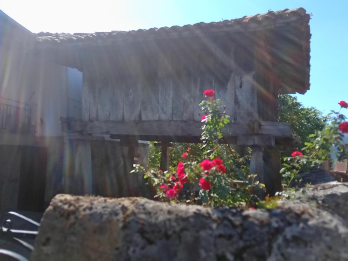 Casa La Cruz A 2Km De Cangas De Onis Ngoại thất bức ảnh